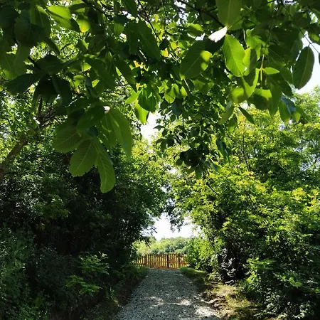 Brvnare Duguljac Fruska Gora *