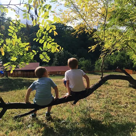 Brvnare Duguljac Fruska Gora Dağ evi *