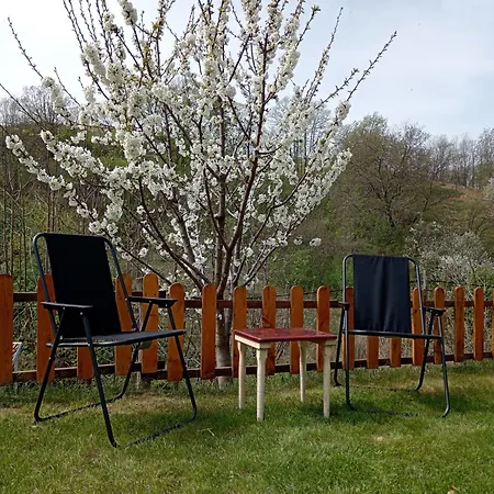 Brvnare Duguljac Fruska Gora Dağ evi *