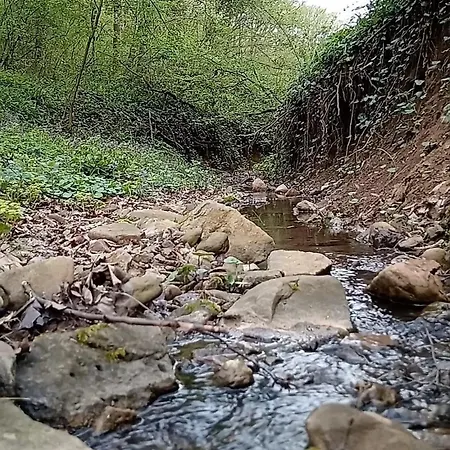 Alpehytte Brvnare Duguljac Fruska Gora Bukovac