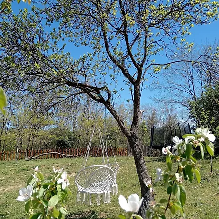 Chalet Brvnare Duguljac Fruska Gora