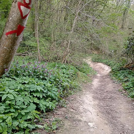 Alpehytte Brvnare Duguljac Fruska Gora *