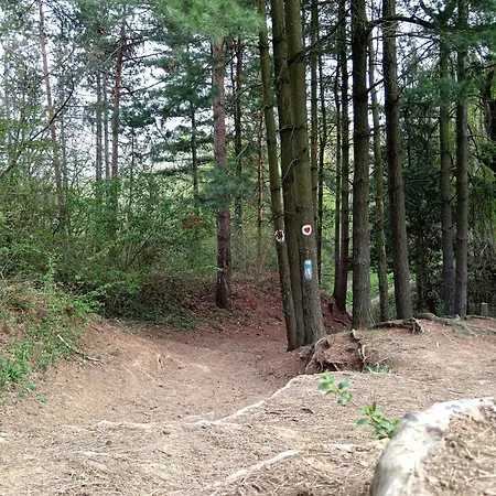 Brvnare Duguljac Fruska Gora *