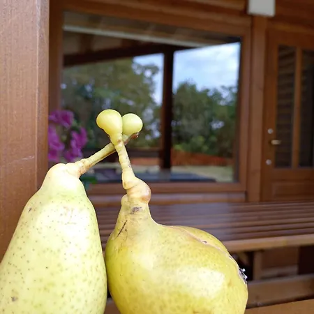 Brvnare Duguljac Fruska Gora Chalet *