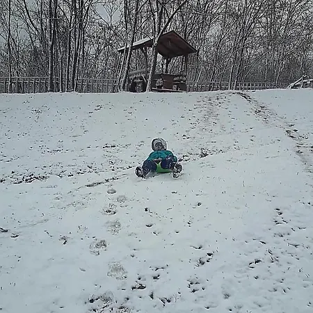 Brvnare Duguljac Fruska Gora