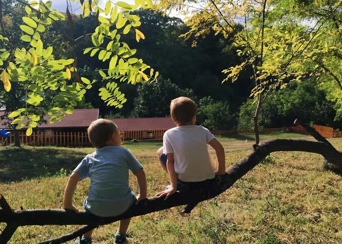 Brvnare Duguljac Fruska Gora Chalet *