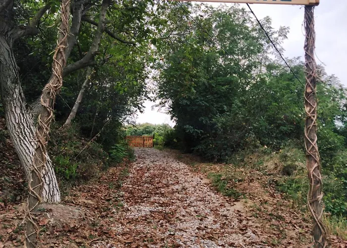 Brvnare Duguljac Fruska Gora Bukovac