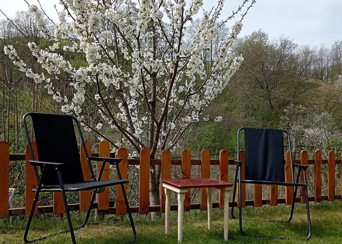 Brvnare Duguljac Fruska Gora Chalet *