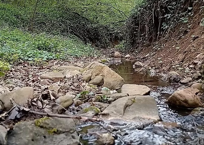 Chalet Brvnare Duguljac Fruska Gora Bukovac