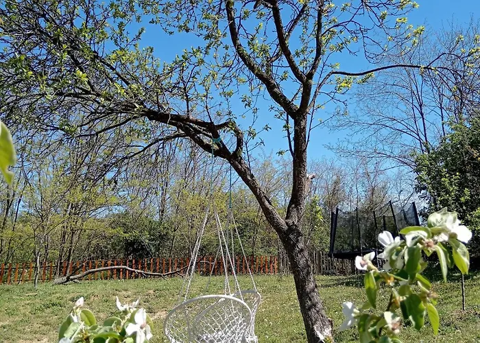 Chalet Brvnare Duguljac Fruska Gora