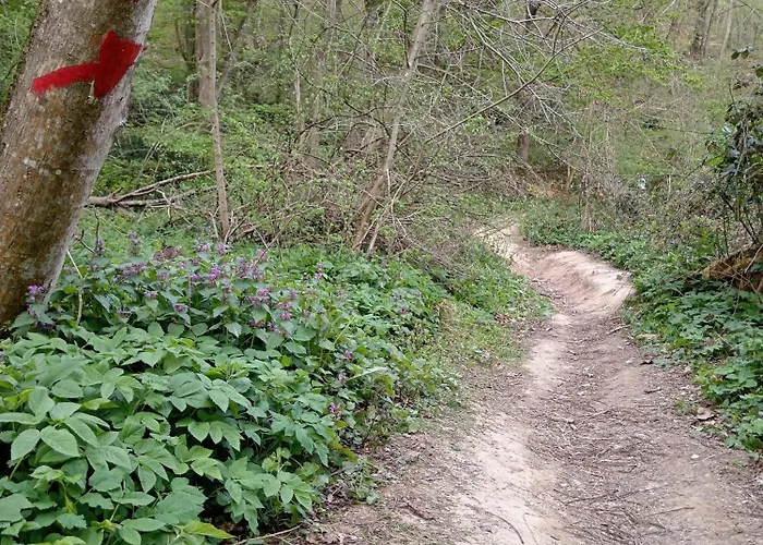 Chalet Brvnare Duguljac Fruska Gora *