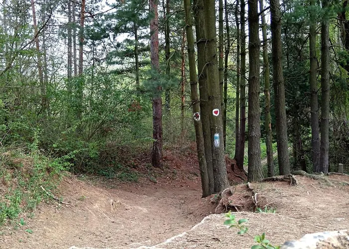 Brvnare Duguljac Fruska Gora *