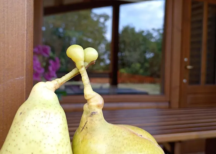 Brvnare Duguljac Fruska Gora Chalet *