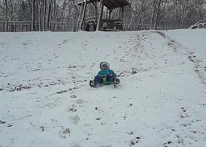 Brvnare Duguljac Fruska Gora