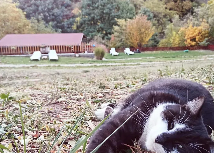 Chalet Brvnare Duguljac Fruska Gora Bukovac